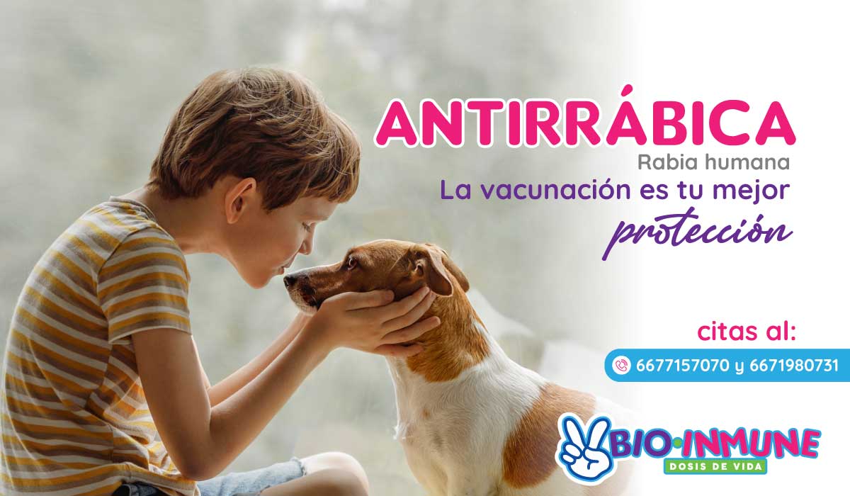 Vacuna antirrabica Bioinmune Culiacán Sinaloa