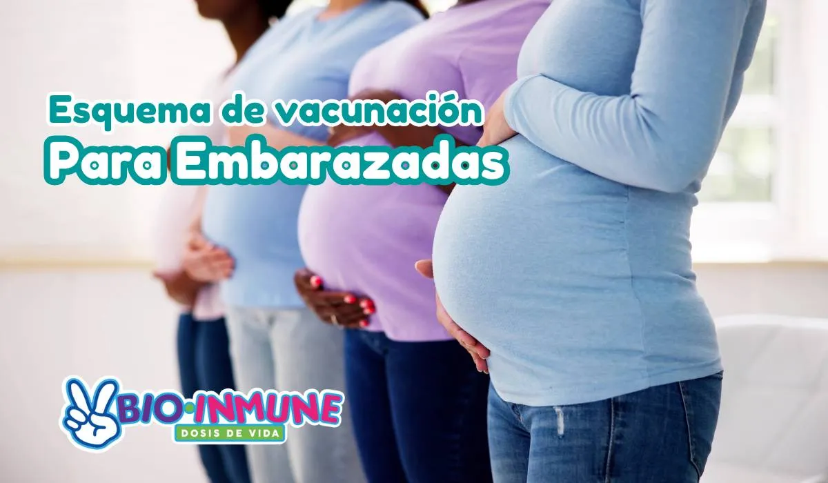 Esquema de vacunación en embarazadas Bioinmune Culiacán